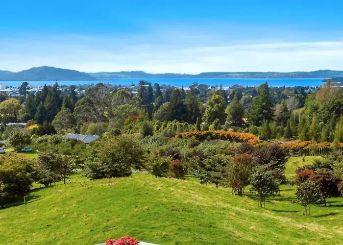 Aww Sheep-uninterrupted Panoramic View With Rotorua