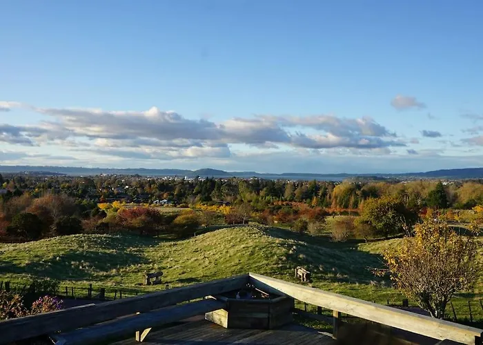 Aww Sheep-uninterrupted Panoramic View With * Rotorua