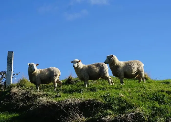 Сasa de vacaciones Aww Sheep-uninterrupted Panoramic View With